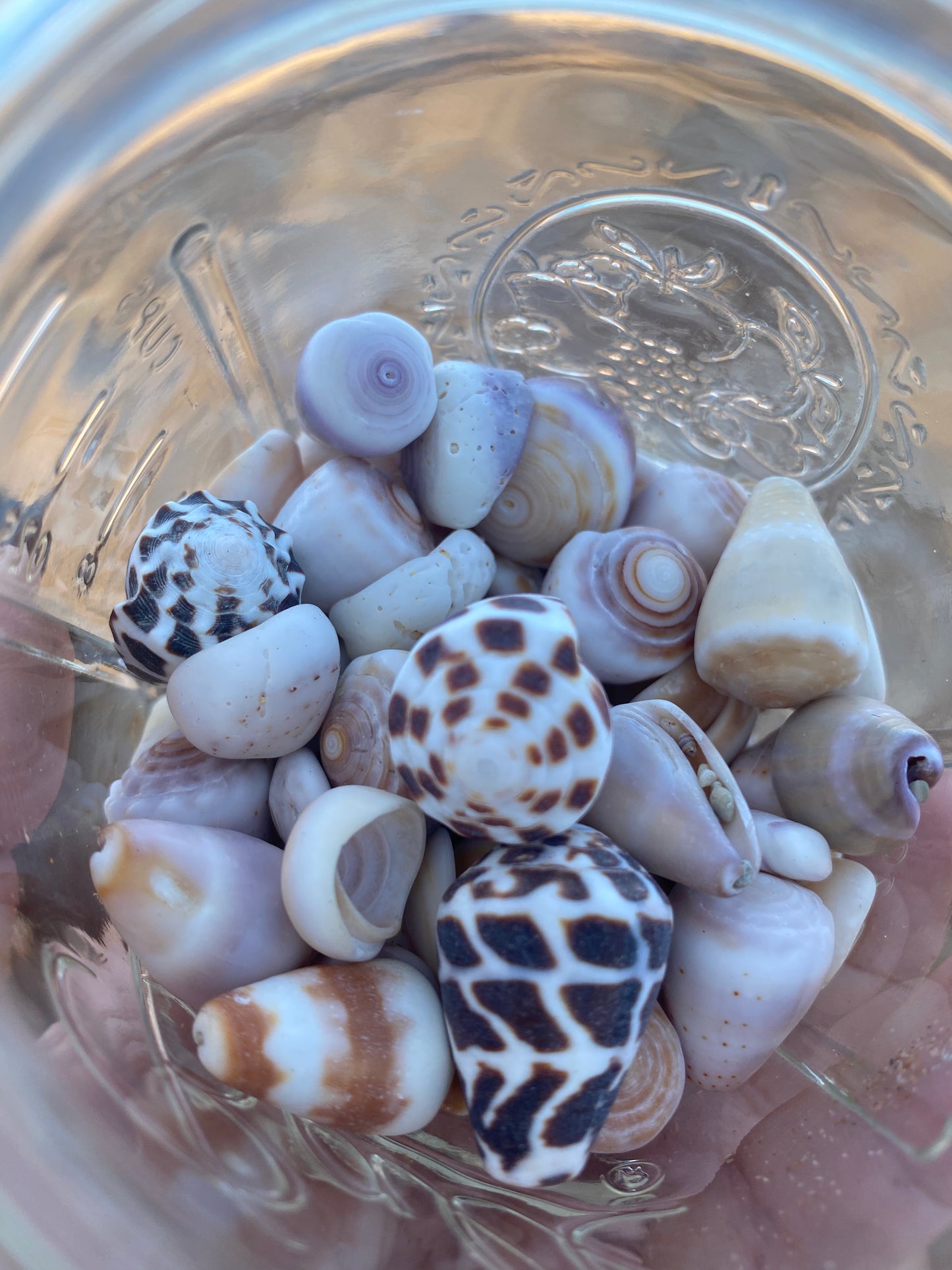 Cone Shell Bangle